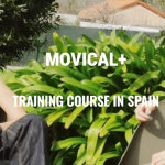 Zrzut ekranu 2026-03-27 142415